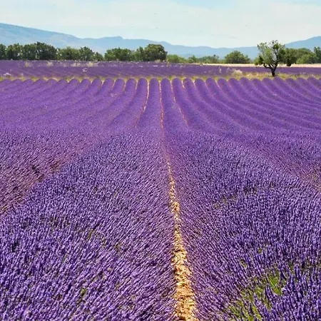 Lou Cigaloun Climatise Lejlighed