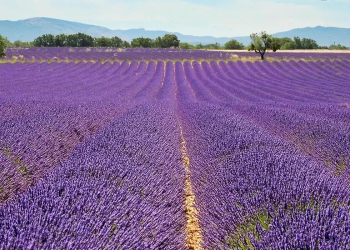Lou Cigaloun Climatise Apartament