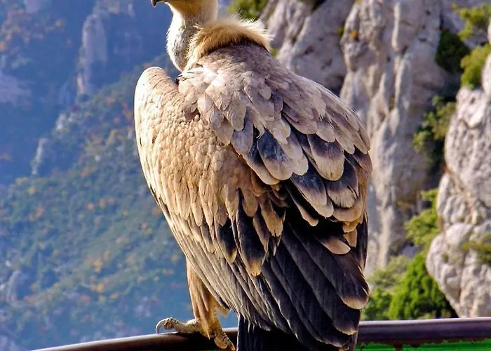 Lou Cigaloun Climatise *